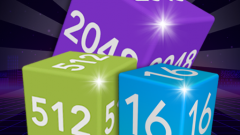 2048 Champion
