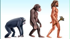 Human Evolution Rush