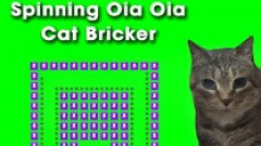 Spinning Oia Oia Cat Bricker